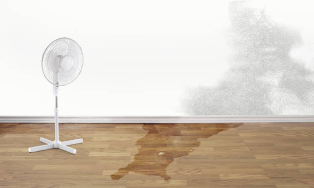 Professional Water damage restoration in Myerstown, PA