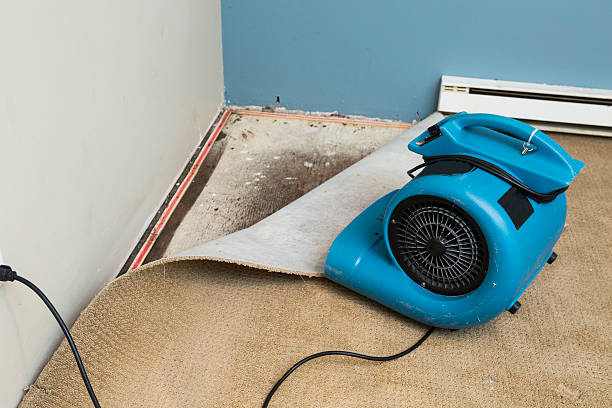 Best Flooded house restoration  in Myerstown, PA